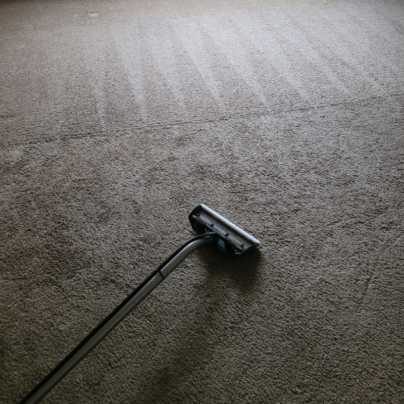 Carpet-Steamer-Feature-800x800